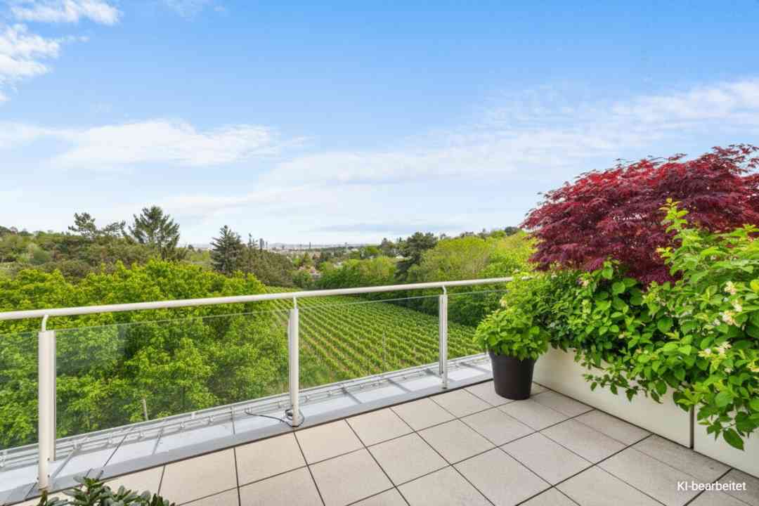 Photo: Terrasse / Ausblick