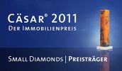 Логотип: Cäsar 2011