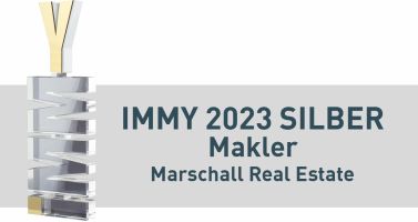 Логотип: Immy 2023